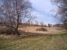 Náhodná fotogalerie